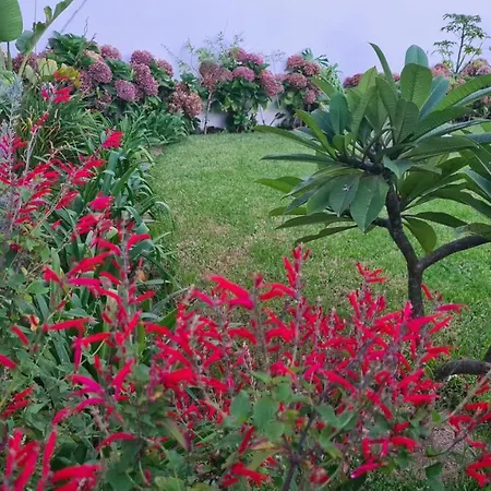 Villa Magnolia - To Explore The Island *