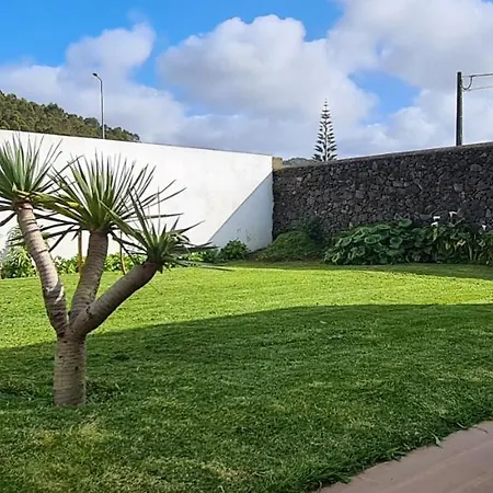 Magnolia - To Explore The Island *