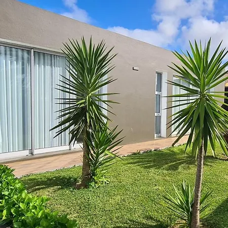 Magnolia - To Explore The Island