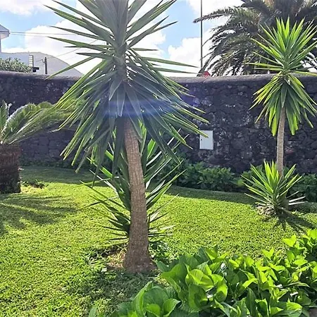 Willa Magnolia - To Explore The Island Ribeira Grande