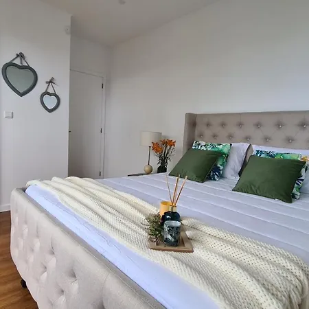 Magnolia - To Explore The Island Villa Ribeira Grande