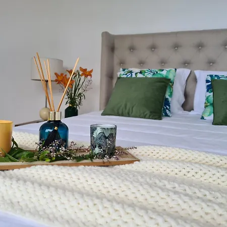 Magnolia - To Explore The Island * Ribeira Grande