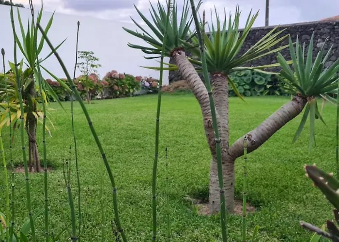 Willa Magnolia - To Explore The Island *