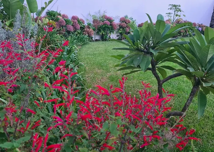 Willa Magnolia - To Explore The Island *