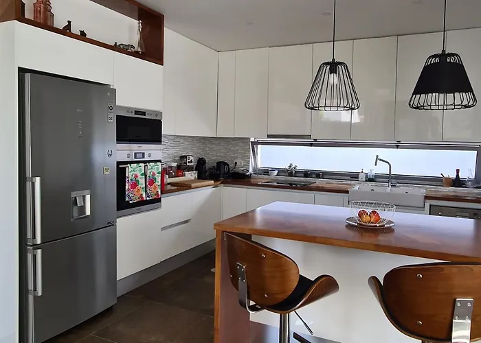 Magnolia - To Explore The Island Ribeira Grande