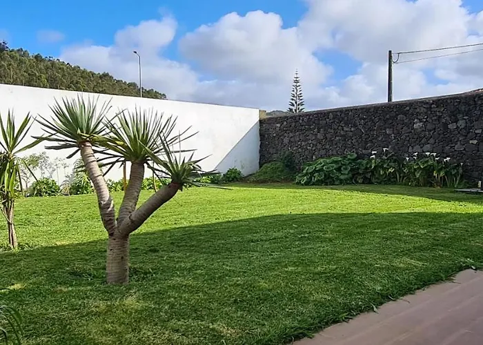 Magnolia - To Explore The Island *