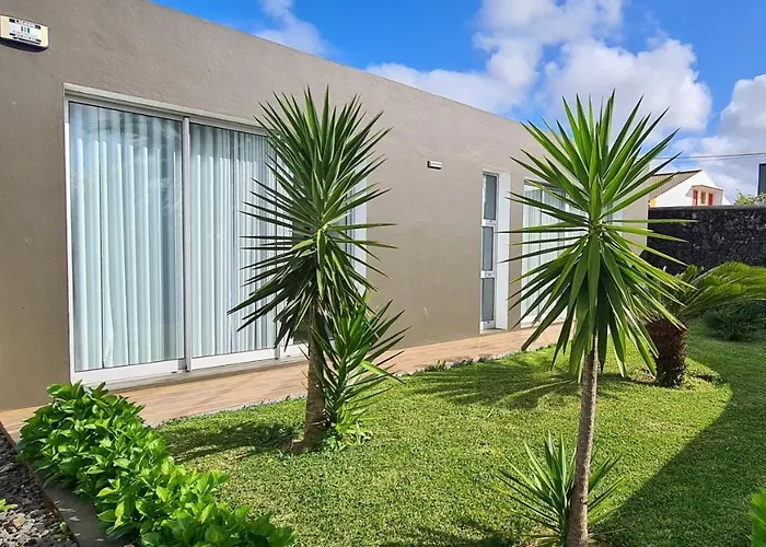 Magnolia - To Explore The Island