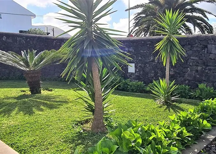 Willa Magnolia - To Explore The Island Ribeira Grande