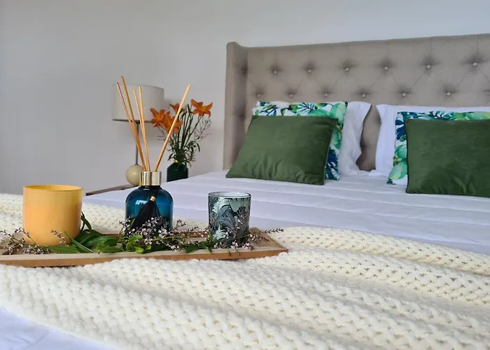 Magnolia - To Explore The Island * Ribeira Grande